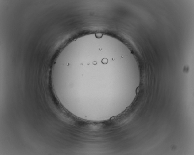 X0000093520495200710121131