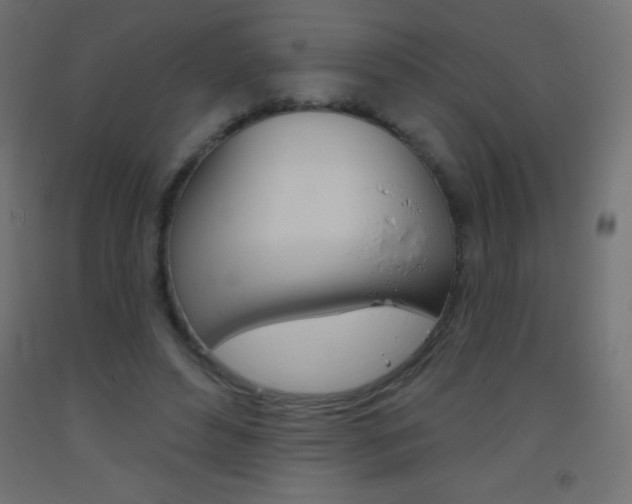 X0000093520496200710121131