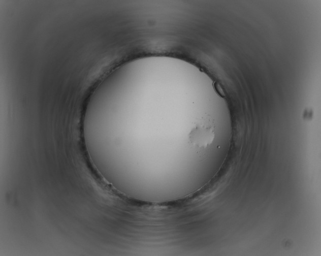 X0000093520497200710121131