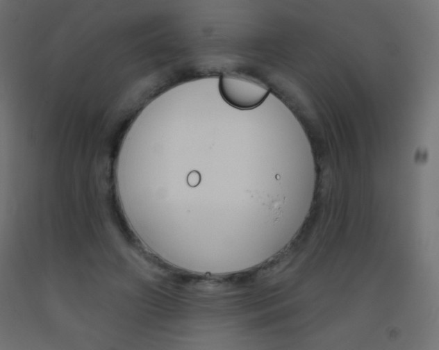 X0000093520498200710121131