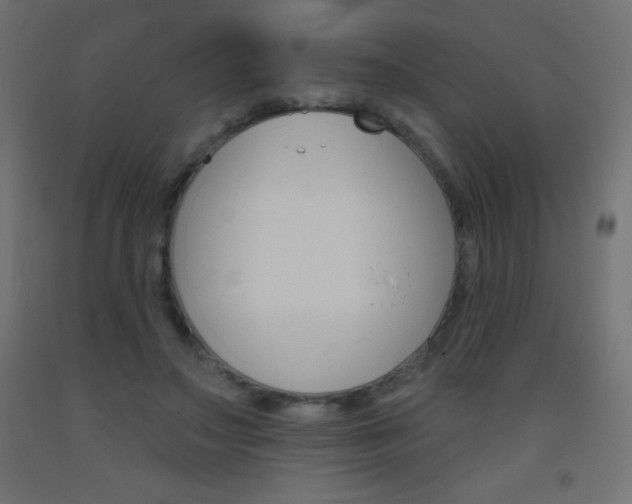 X0000093520499200710121131