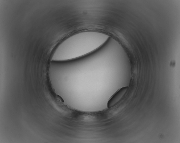 X0000093520500200710121131