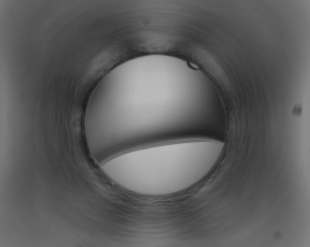 X0000093520501200710121131