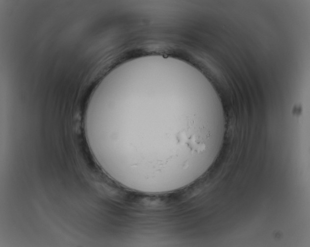 X0000093520502200710121131