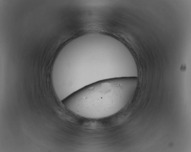X0000093520503200710121131