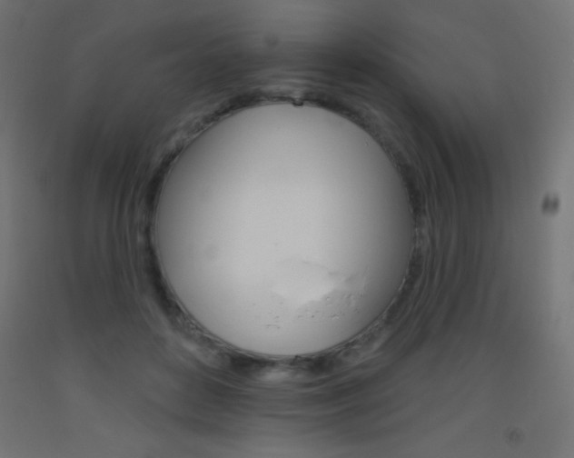 X0000093520504200710121131