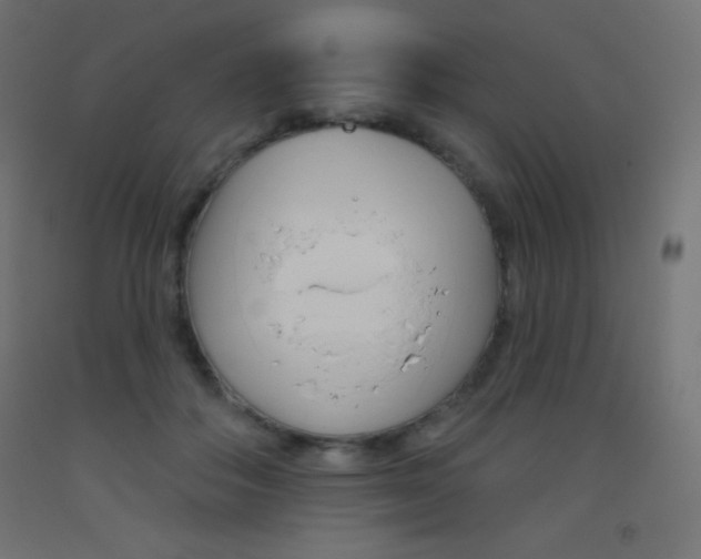 X0000093520506200710121130