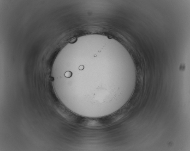 X0000093520507200710121130