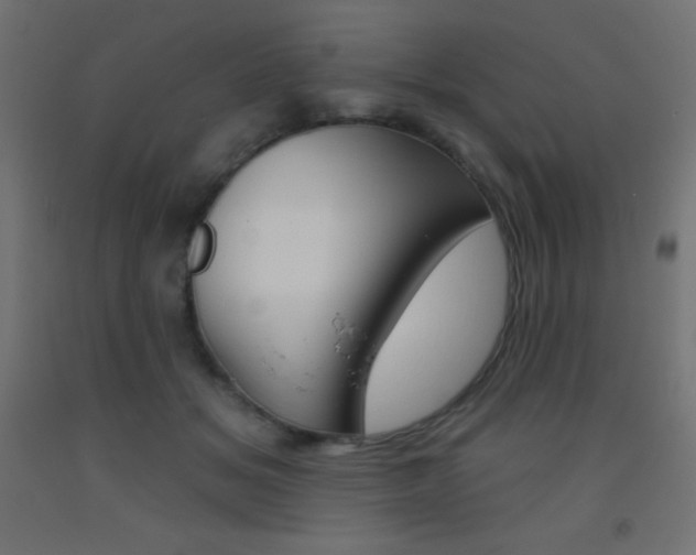 X0000093520509200710121130