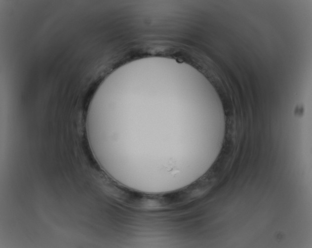 X0000093520510200710121130