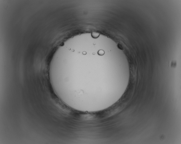 X0000093520511200710121130