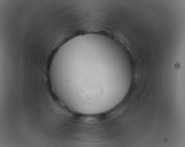 X0000093520512200710121130