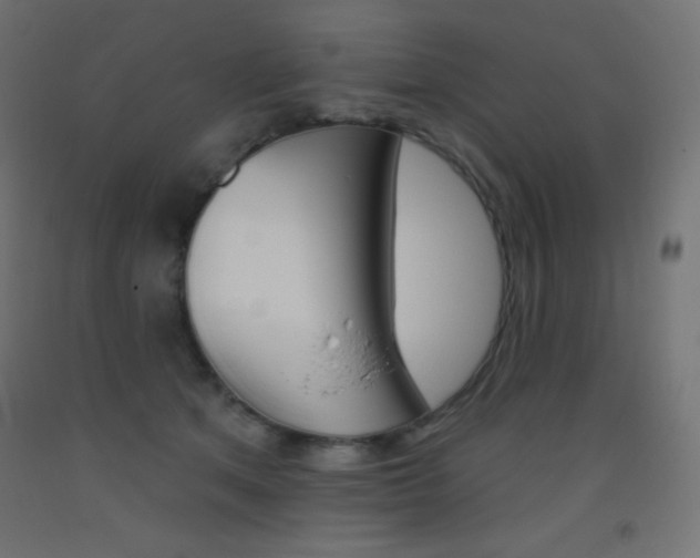 X0000093520513200710121130
