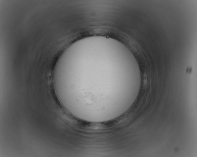 X0000093520514200710121130