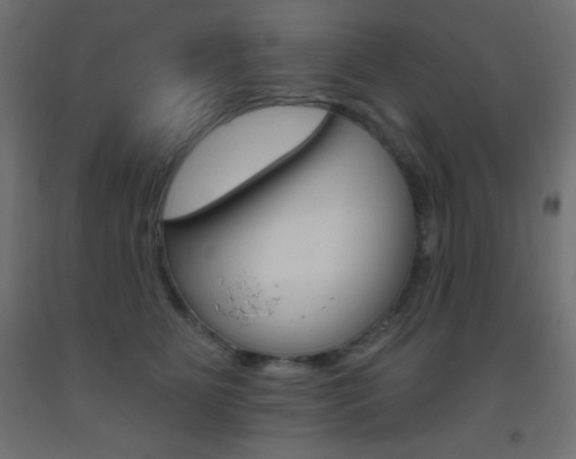 X0000093520515200710121130
