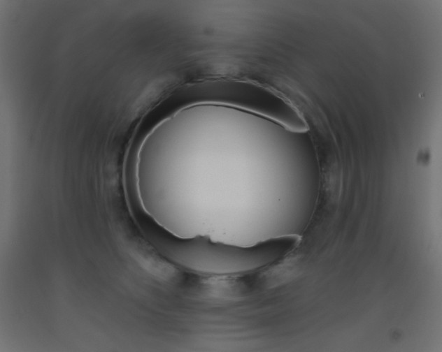 X0000093520516200710121130