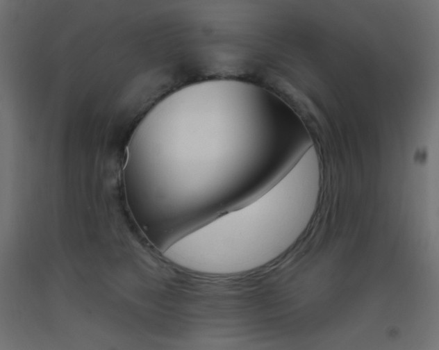 X0000093520517200710121130