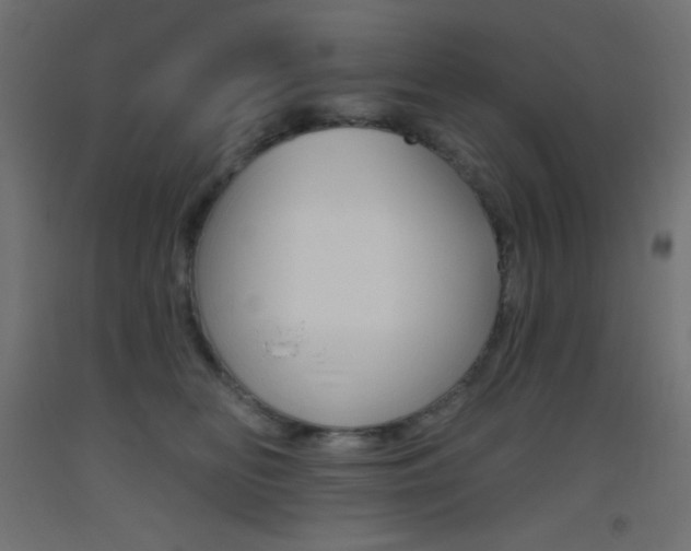 X0000093520518200710121130