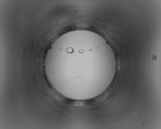 X0000093520519200710121130
