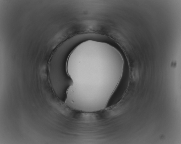 X0000093520520200710121130