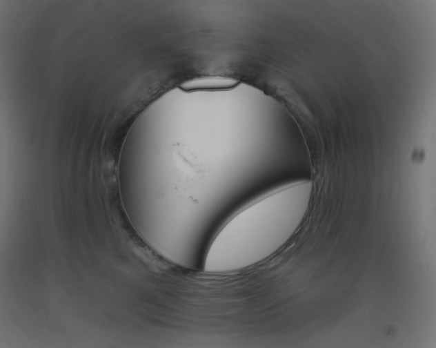 X0000093520521200710121130