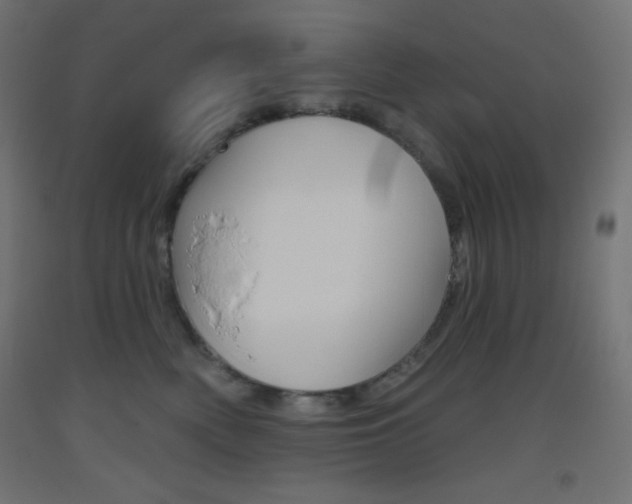 X0000093520522200710121130