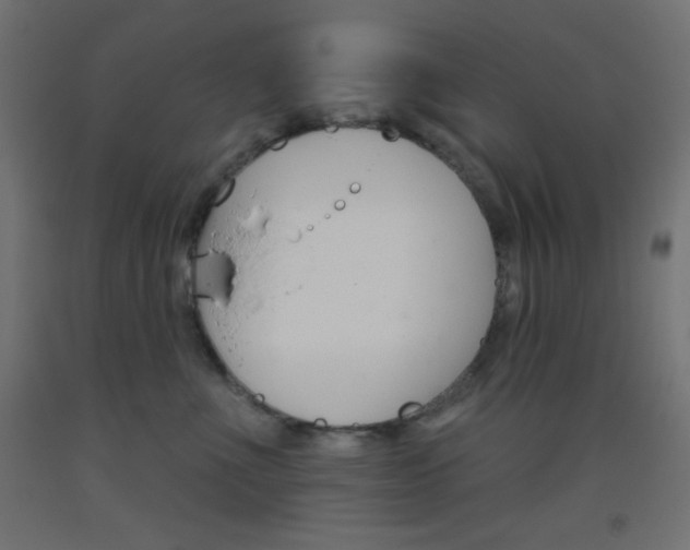 X0000093520523200710121130