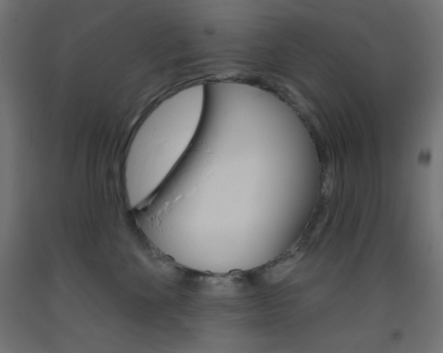 X0000093520524200710121130
