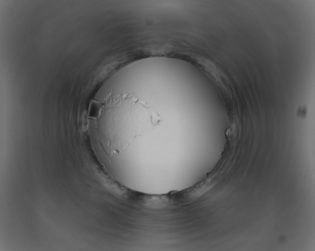 X0000093520525200710121130