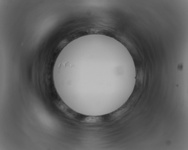 X0000093520526200710121130