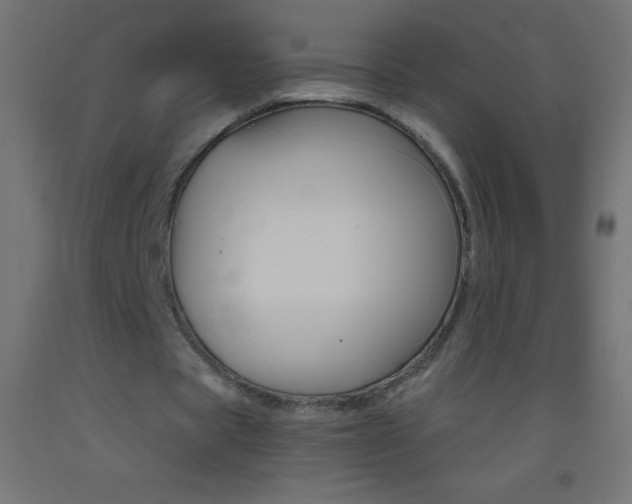 X0000093520529200710121130