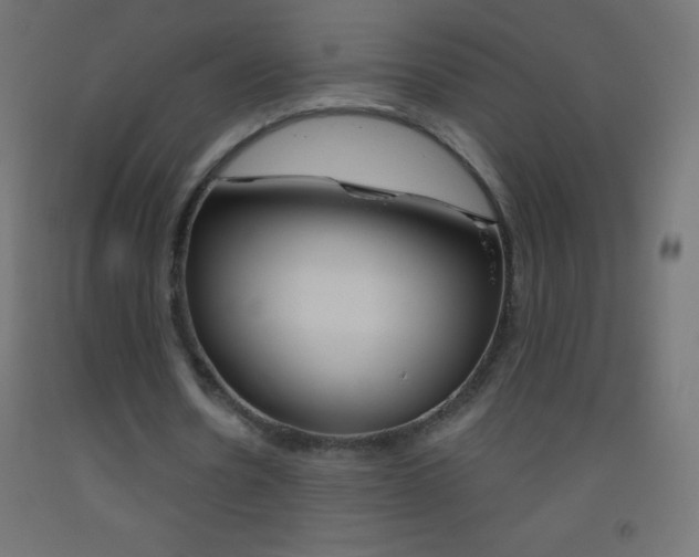 X0000093520530200710121130