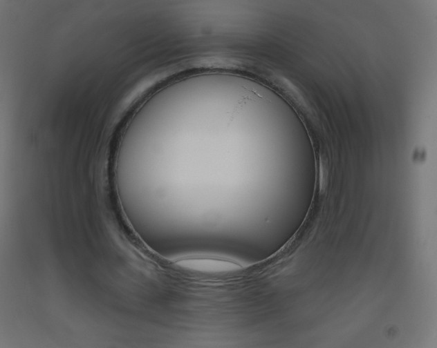 X0000093520531200710121130