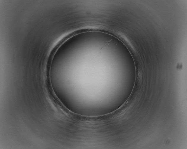 X0000093520532200710121130