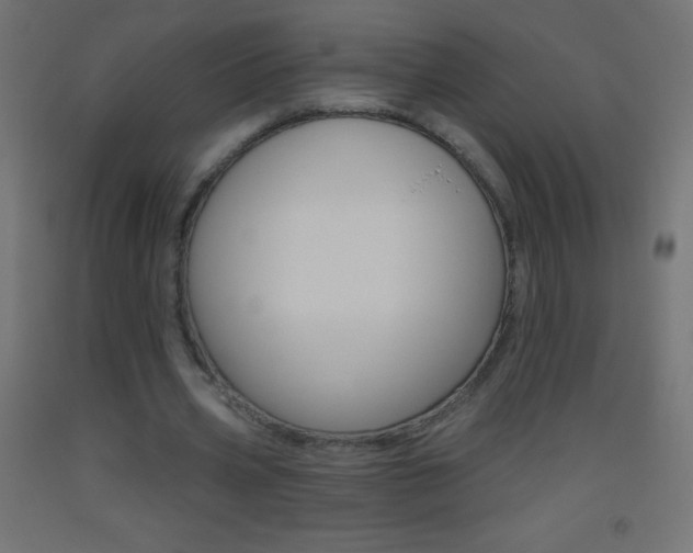 X0000093520533200710121130