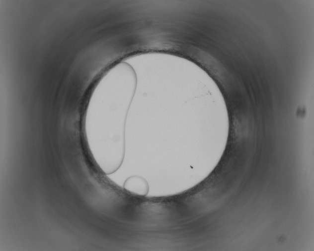 X0000093520534200710121130