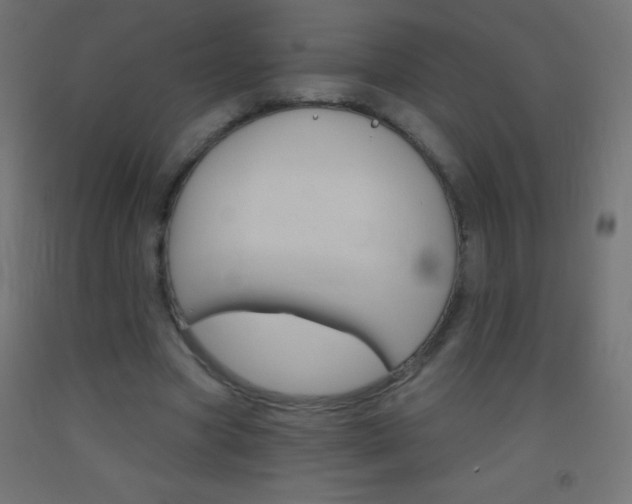 X0000093520537200710121130