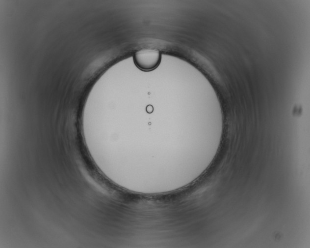X0000093520538200710121130