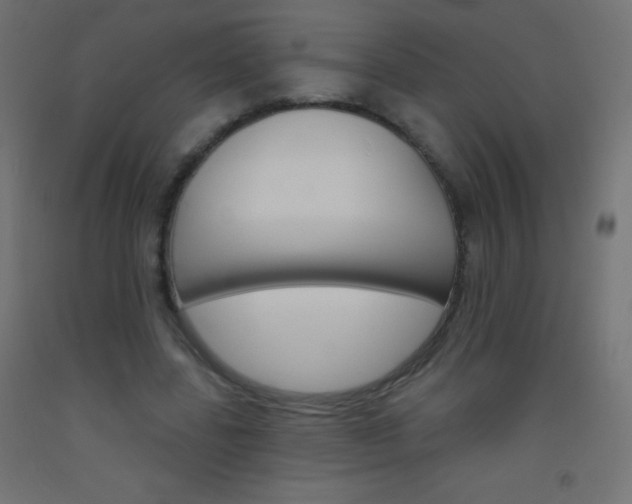 X0000093520539200710121130