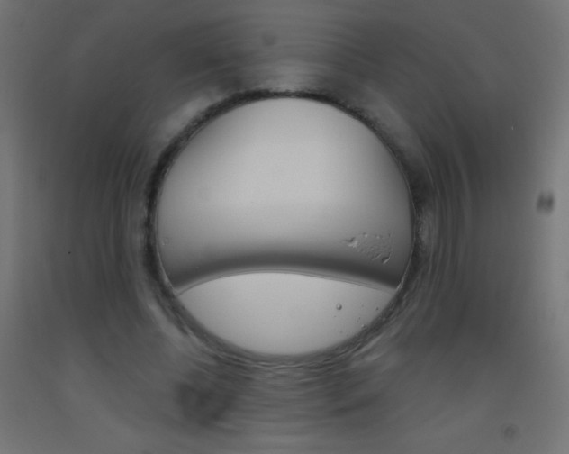 X0000093520540200710121130