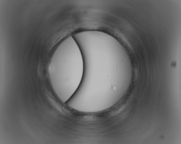 X0000093520541200710121130