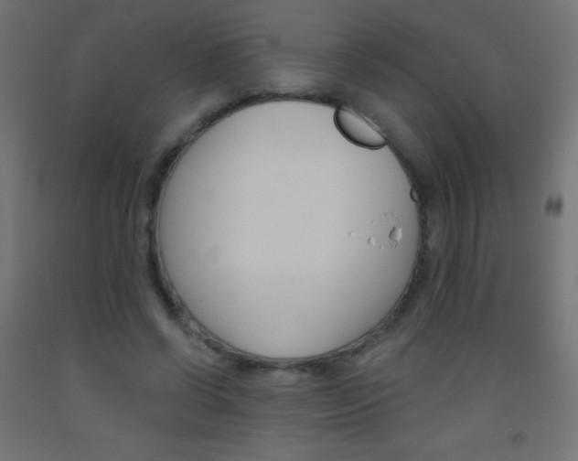 X0000093520542200710121130