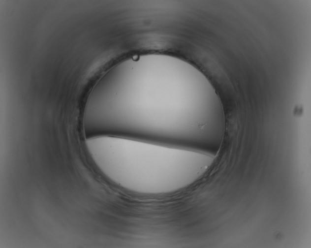 X0000093520544200710121130