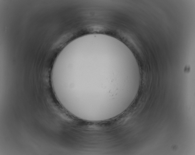 X0000093520545200710121130
