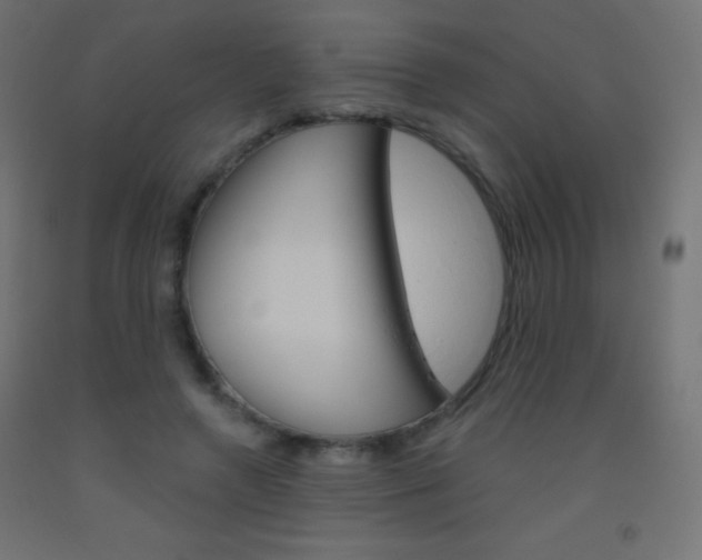 X0000093520546200710121130