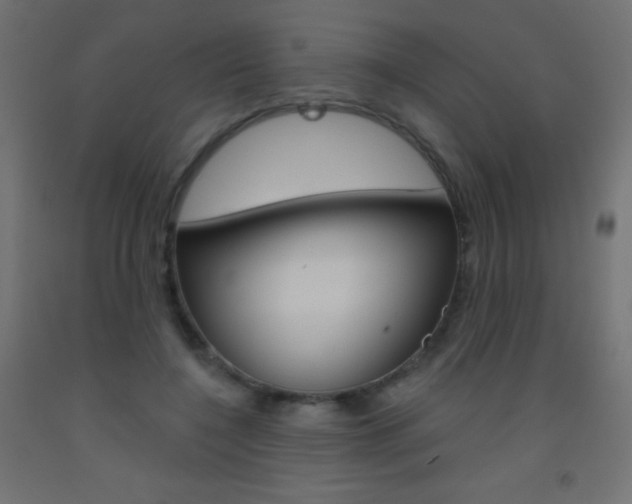 X0000093520548200710121130