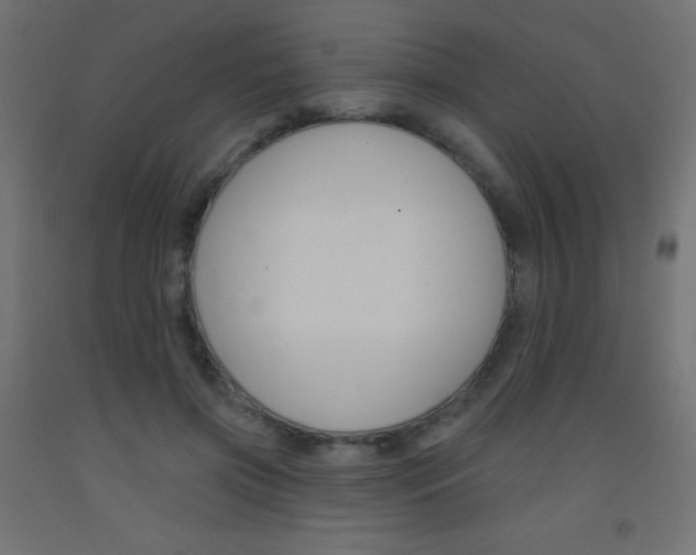 X0000093520549200710121130