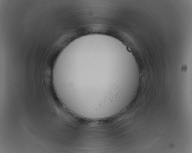 X0000093520550200710121130