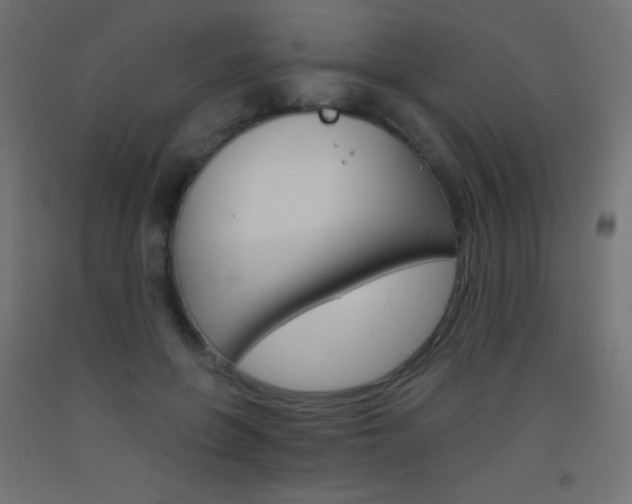 X0000093520551200710121130