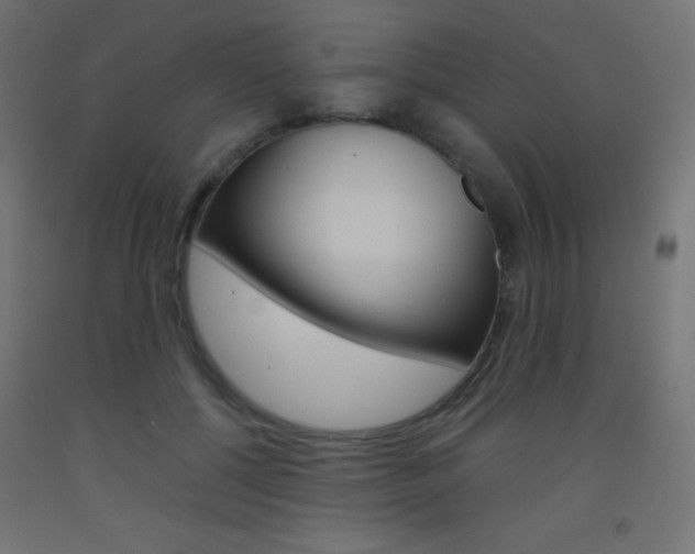 X0000093520552200710121130
